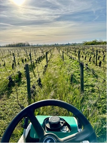 2024: Year of Challenges